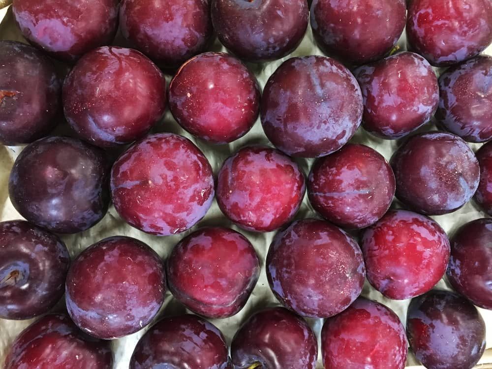 7 Manfaat Dahsyat Buah Plum (Psst… Bisa Menurunkan Berat Badan!)