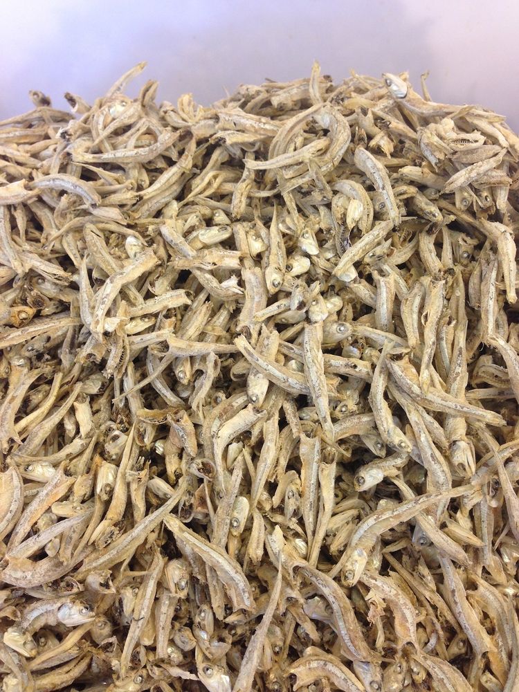 manfaat-ikan-teri-ibu-menyusui