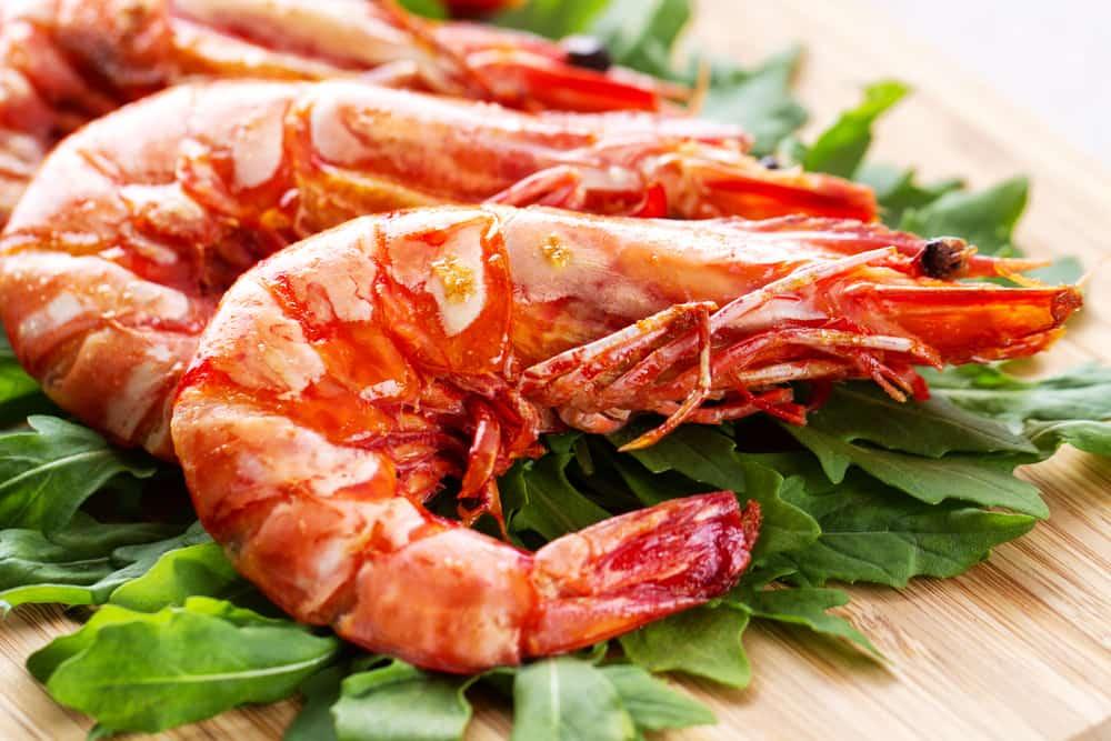 bahaya-manfaat-makan-udang