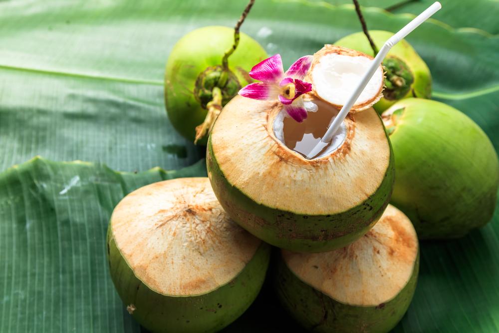 Kelapa Muda vs Kelapa Tua: Beda Umurnya, Beda Pula Manfaatnya Bagi Tubuh