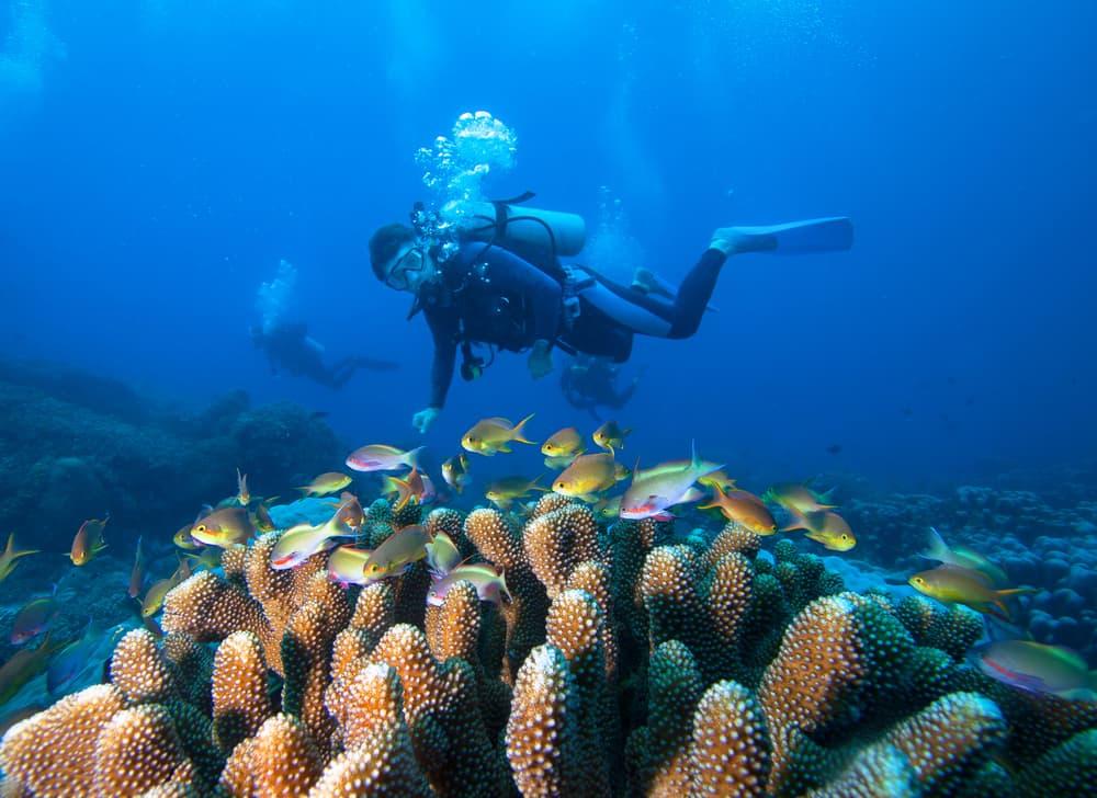manfaat-scuba-diving