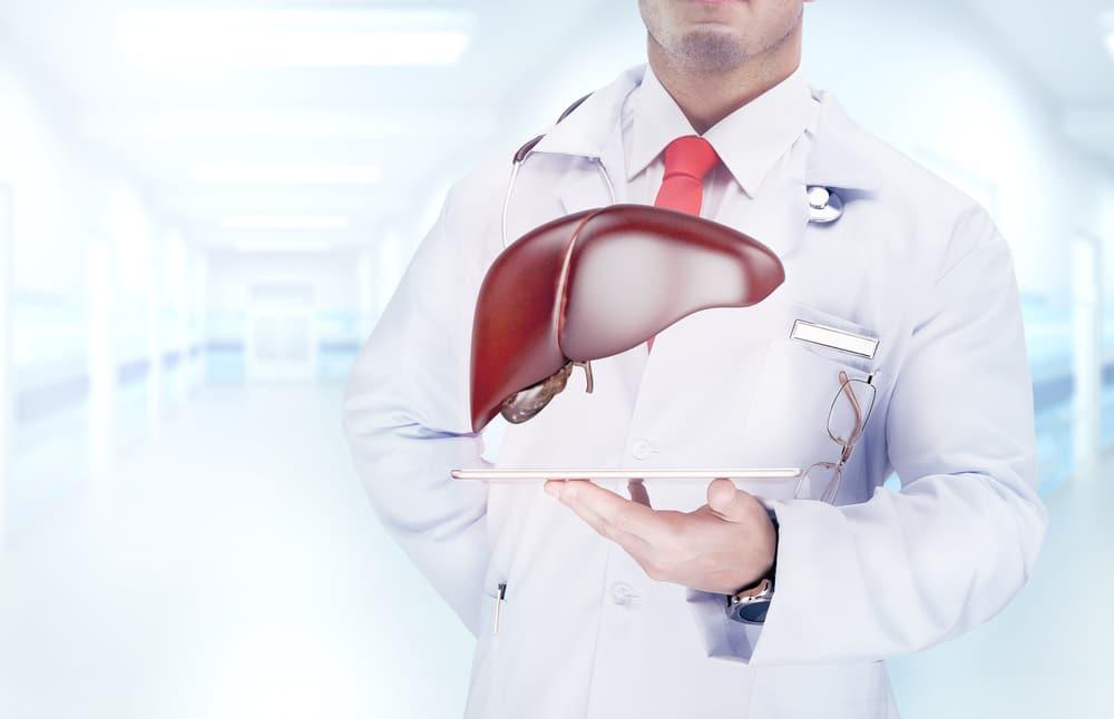 5-fakta-unik-seputar-hati-liver-manusia