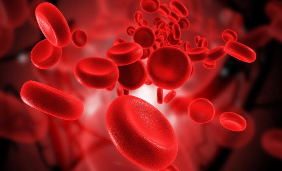 hematokrit