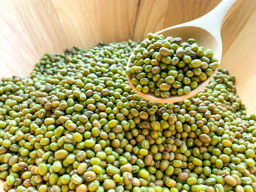 kacang-hijau-untuk-maag