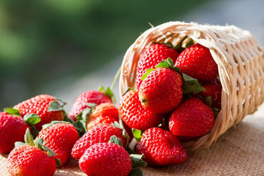 manfaat-strawberry