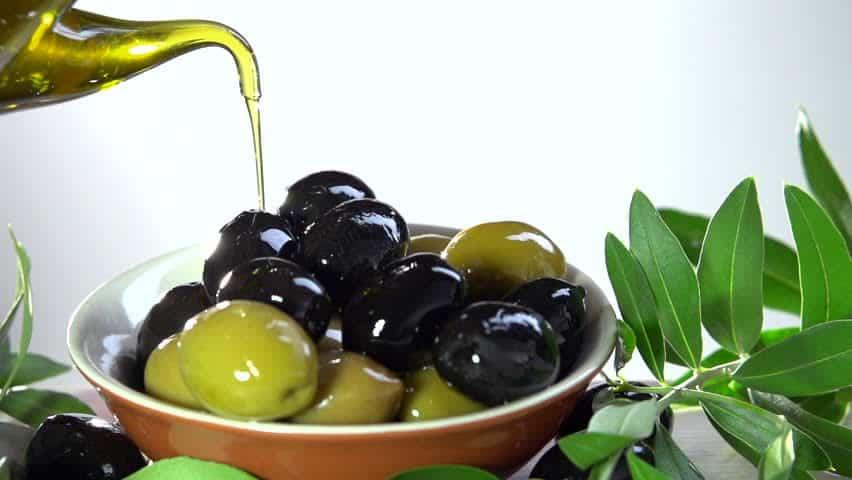 manfaat-buah-zaitun