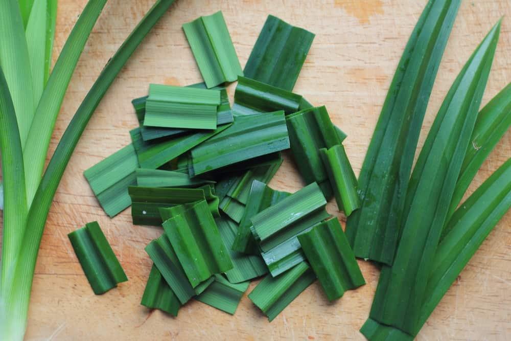 Tak Cuma Harum, Simak Manfaat Daun Pandan untuk Kesehatan