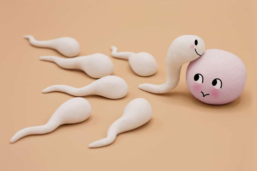 Sperma Suami yang Tak Sehat Bisa Sebabkan Istri Keguguran