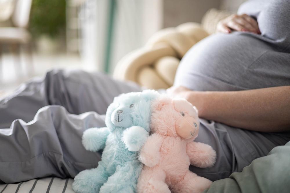 bayi-kembar-dalam-kandungan