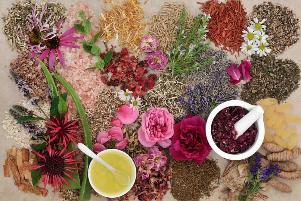 obat-infeksi-gusi-herbal