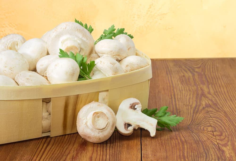 Berbagai Manfaat dan Risiko Makan Jamur bagi Kesehatan