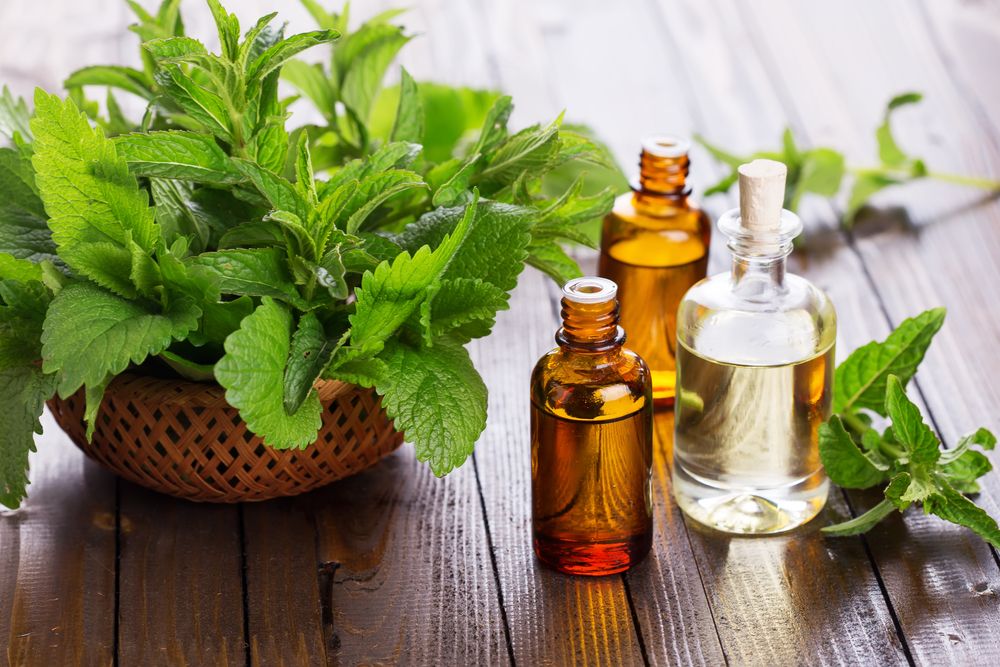 5 Manfaat Kesehatan Daun Peppermint, Si Dingin yang Menyegarkan