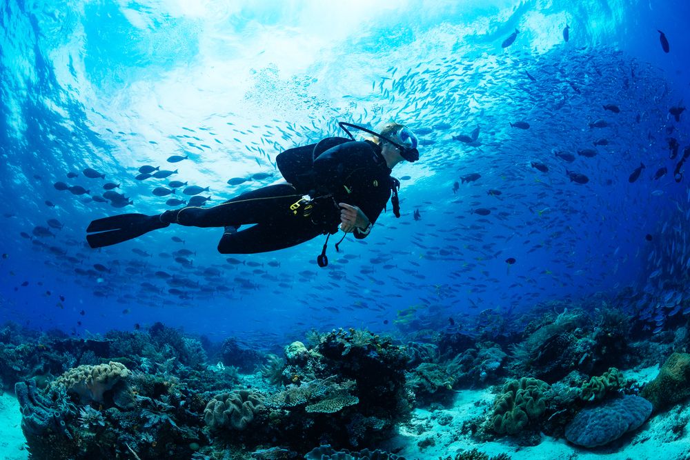 Waspada Nitrogen Narcosis, Efek Samping Menyelam yang Berakibat Fatal