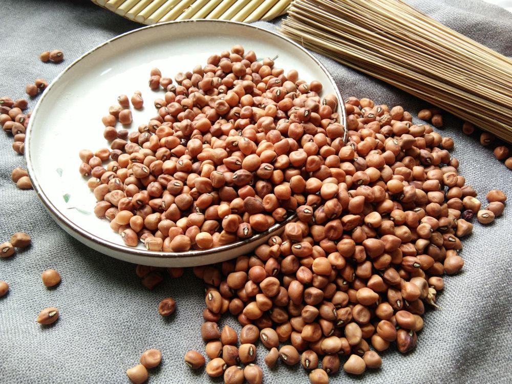 manfaat-kacang-tolo