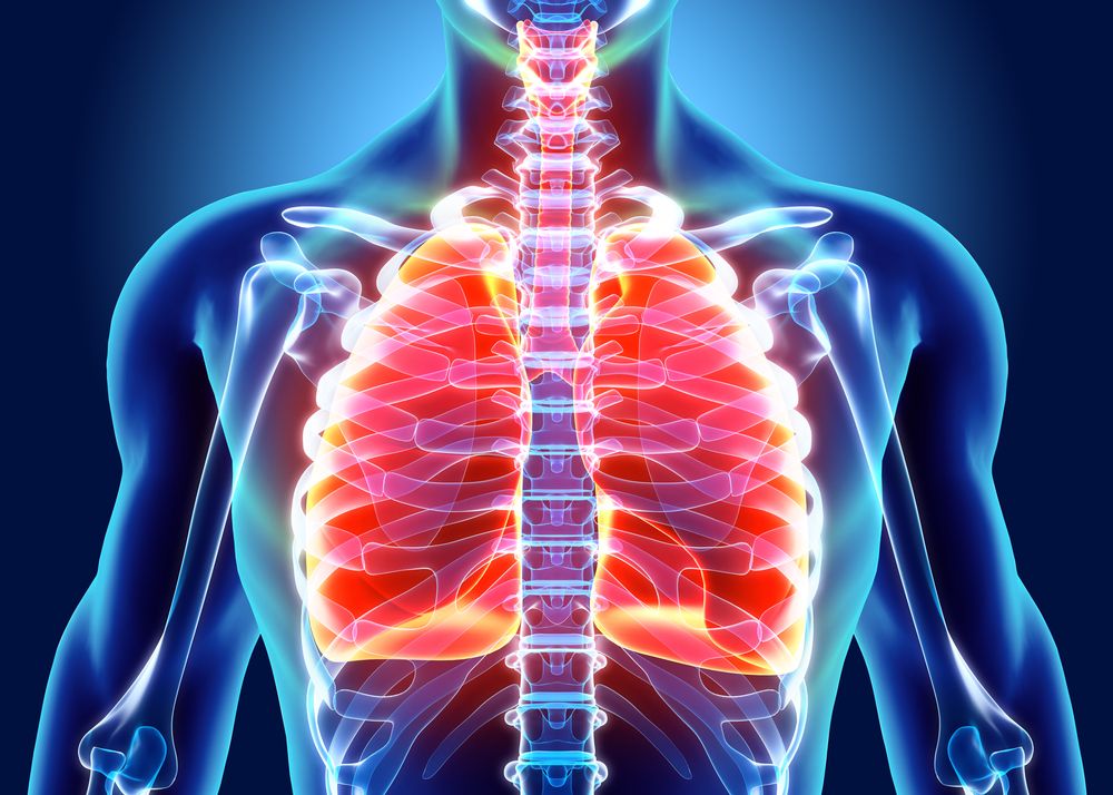 Yuk, Mengenal Anatomi Paru Lebih Dalam Lagi