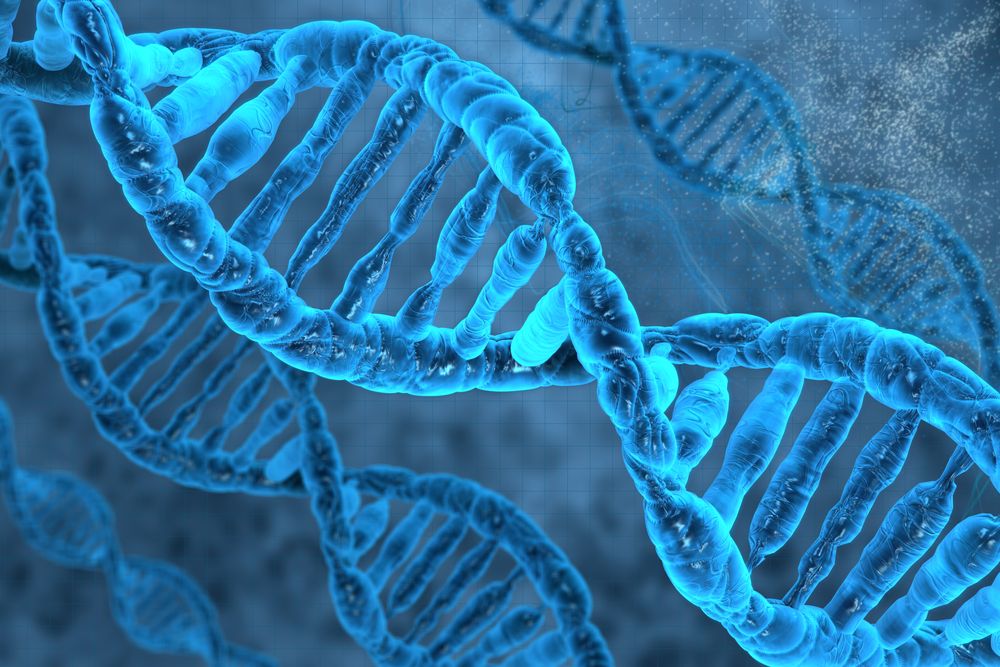 chimerism-satu-tubuh-dua-struktur-dna