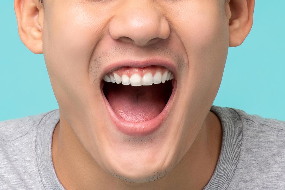 anatomi-mulut-manusia