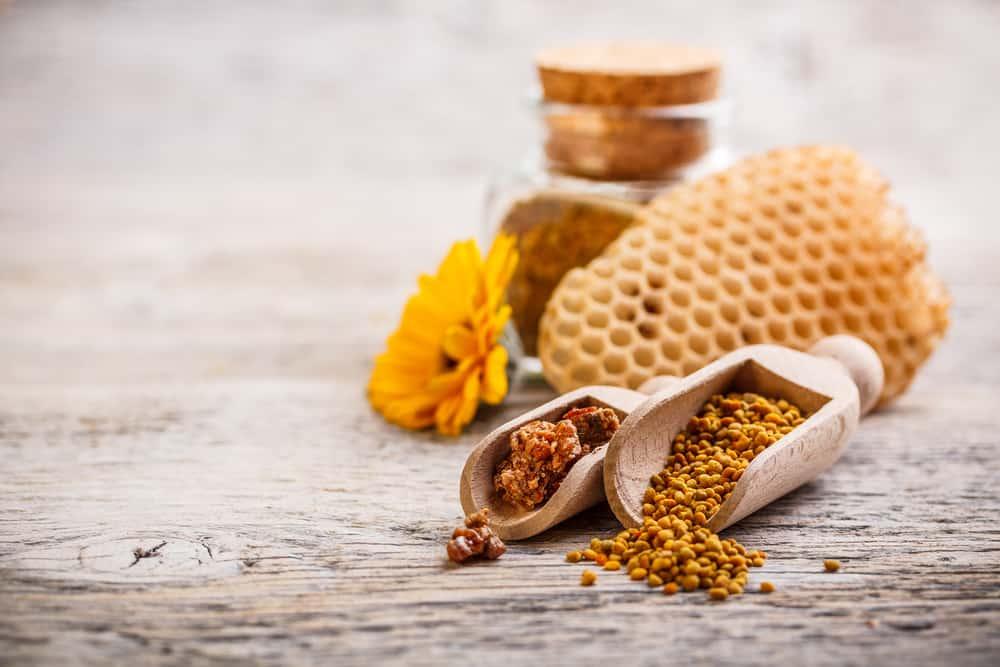 bee-pollen-adalah