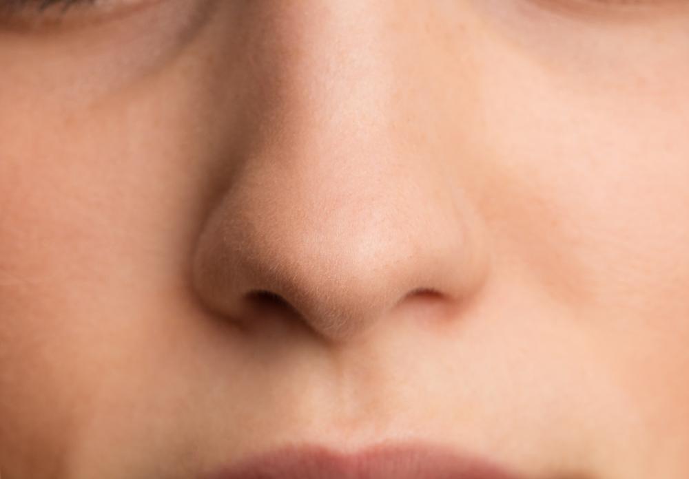 anatomi-hidung