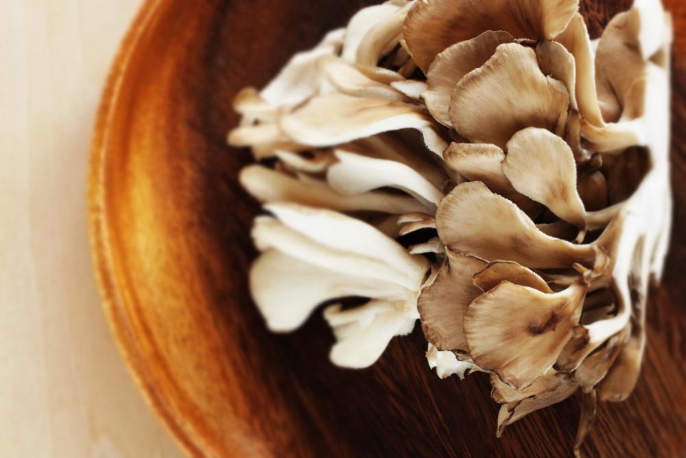 manfaat-jamur-maitake
