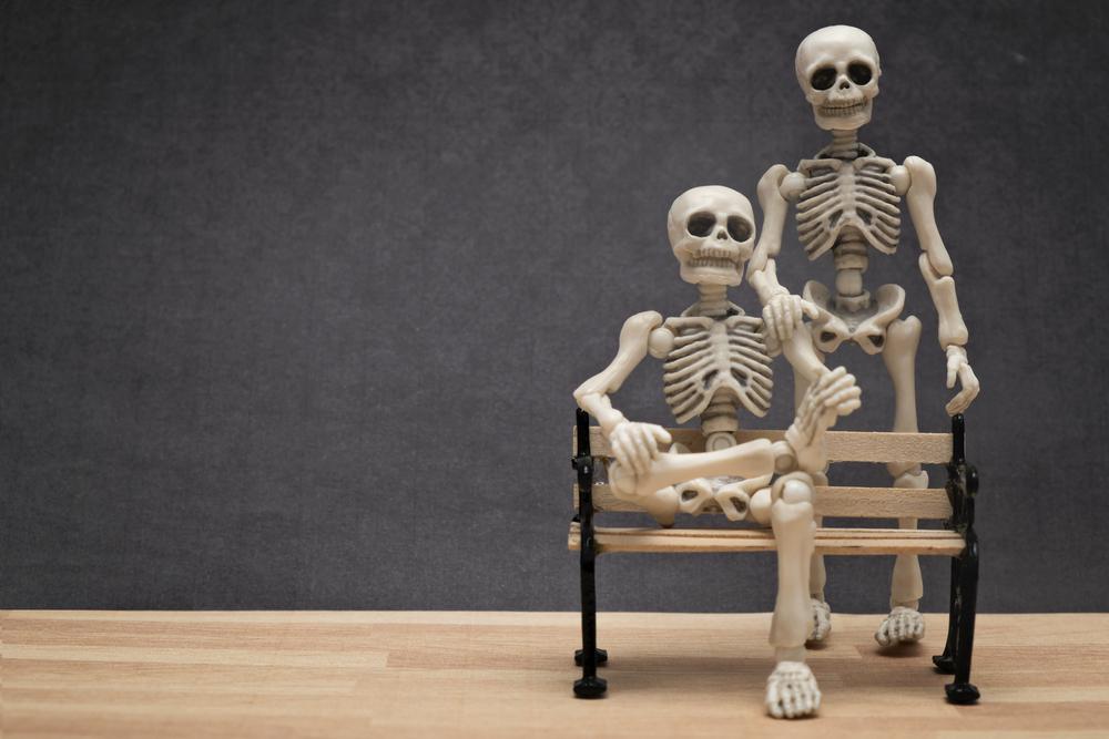 anatomi-tulang