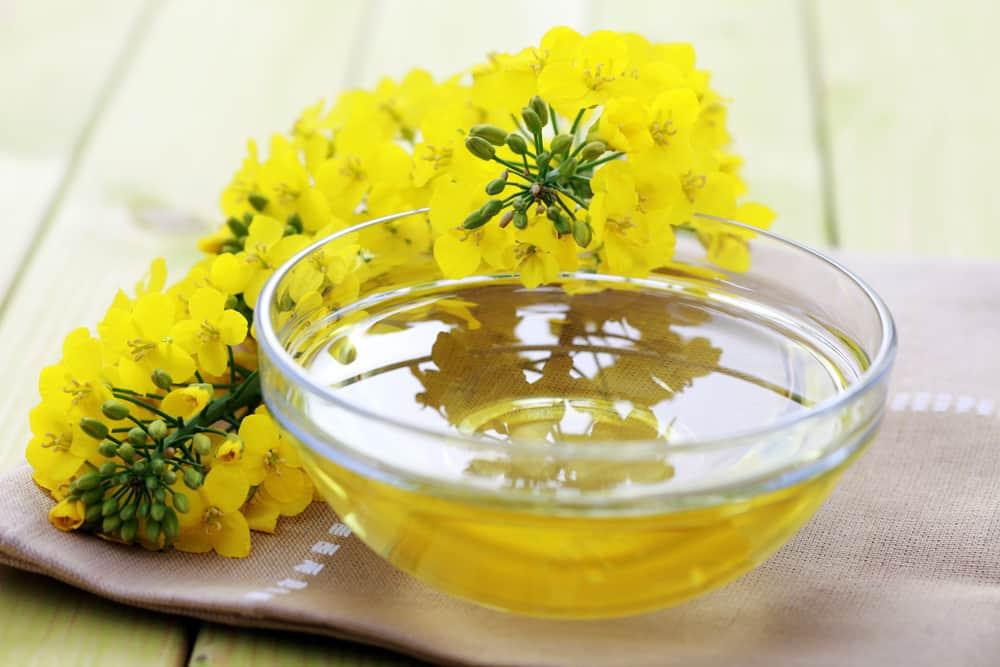 Apakah Memasak Pakai Minyak Canola Dijamin Lebih Sehat?