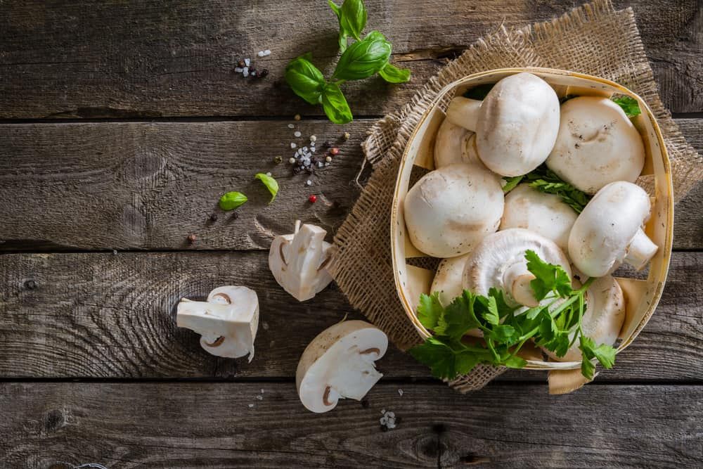 Mengenal Diet Jamur yang Konon Ampuh Kecilkan Pinggang dan Paha