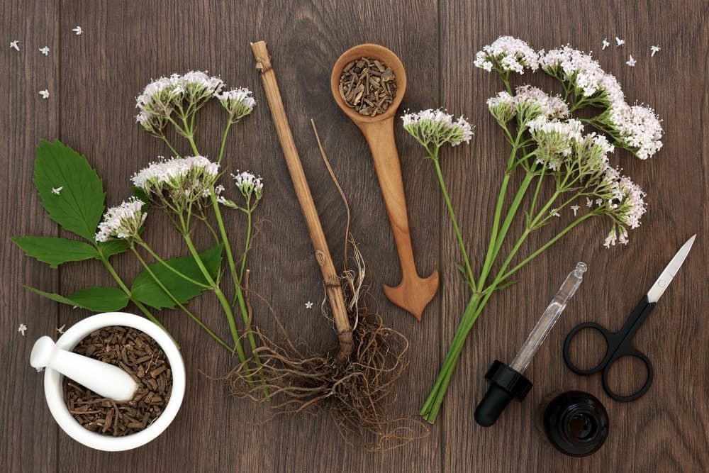 manfaat-akar-valerian-herbal