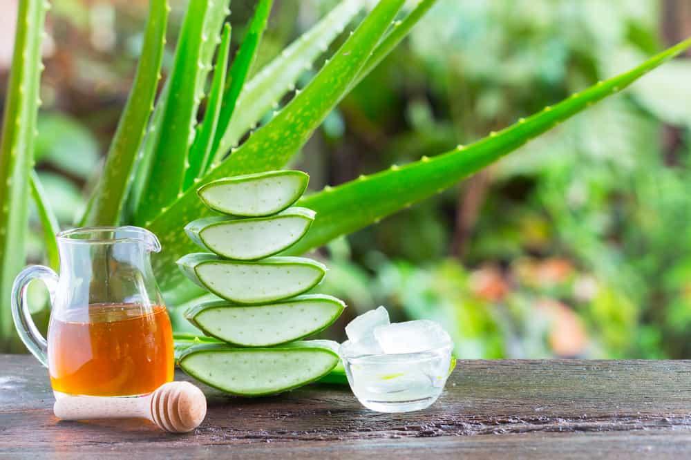 pilihan-obat-pertolongan-pertama-alami