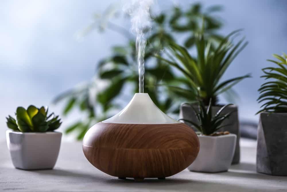 cara-membersihkan-humidifier