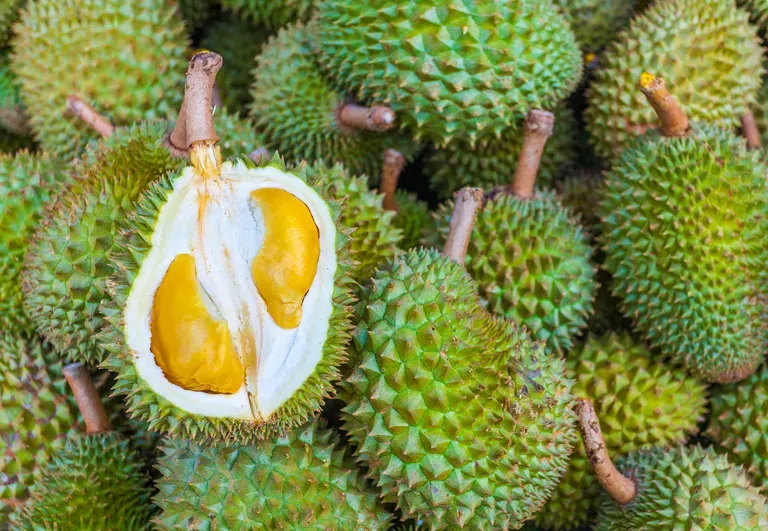 efek-makan-durian-kolesterol-naik
