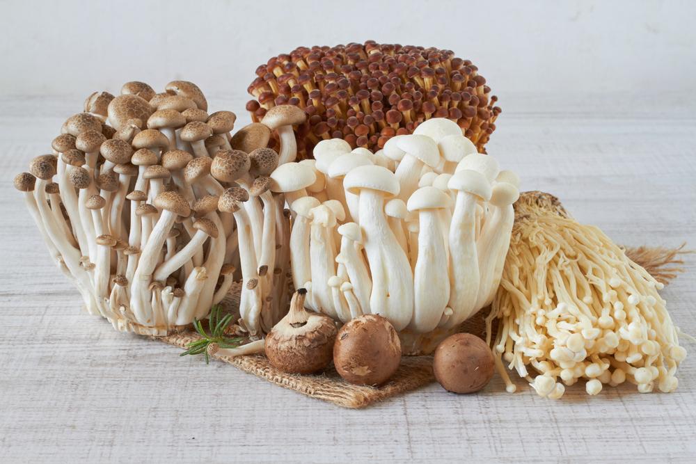 jamur-enoki-mencegah-penyakit-kanker