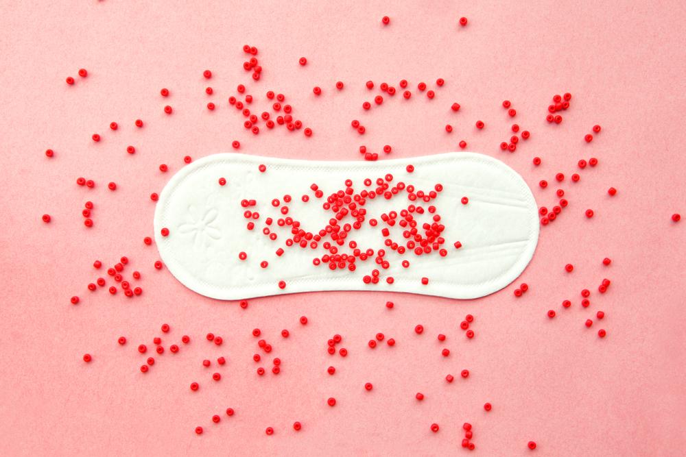 Haid (Menstruasi)