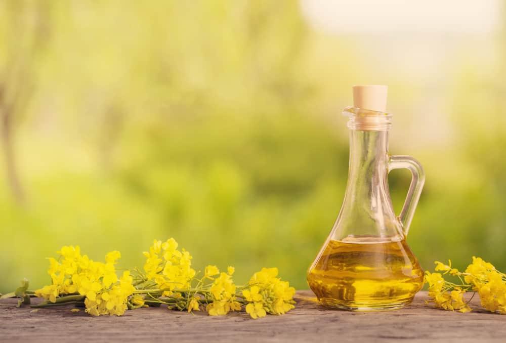 berbagai-efek-samping-minyak-canola