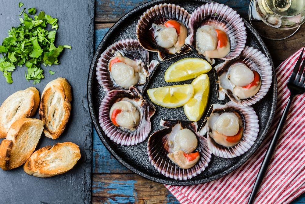 Berkenalan dengan Scallop (Kerang Kampak), Kerang Laut Mewah yang Padat Nutrisi