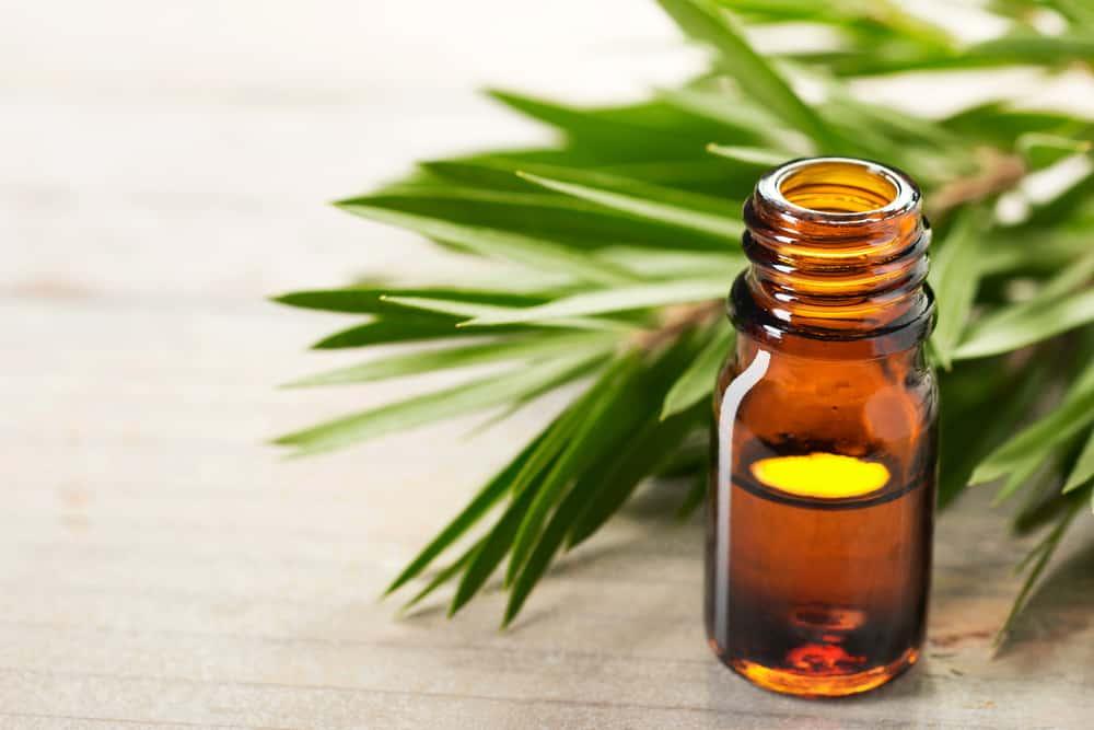 Mengobati Eksim Dengan Tea Tree Oil, Apakah Ampuh?