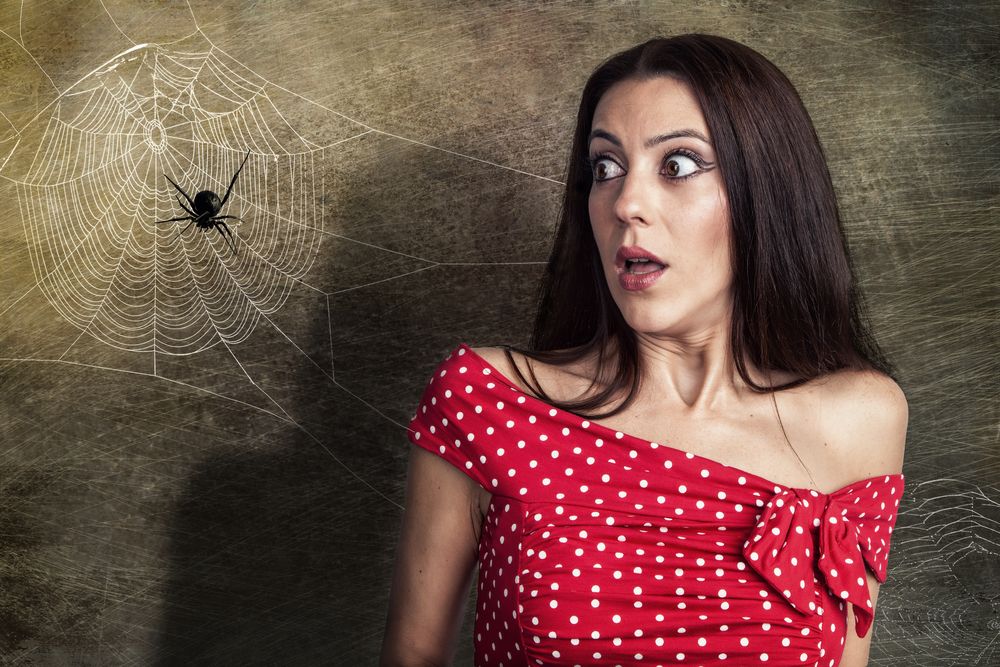 Arachnophobia, Bukan Sekadar Takut Lagi dengan Laba-laba
