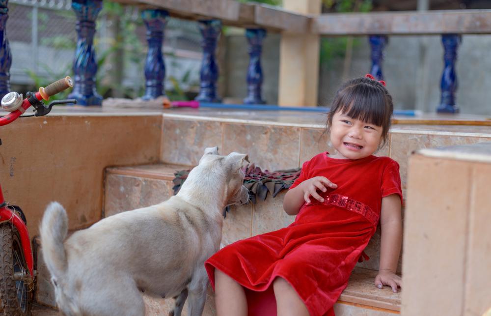 Takut Berlebihan Terhadap Anjing, Tanda Gangguan Cynophobia