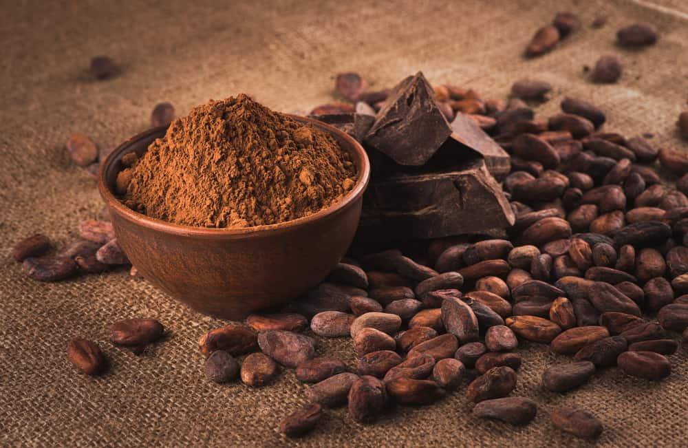 manfaat-bubuk-kakao-biji-coklat