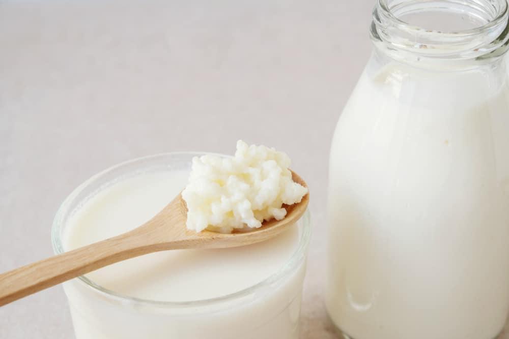 Cara Membuat Kefir yang Menyehatkan di Rumah