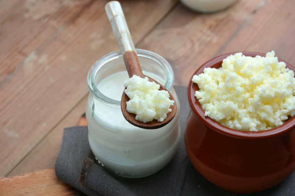 perbedaan-persamaan-kefir-dan-yogurt