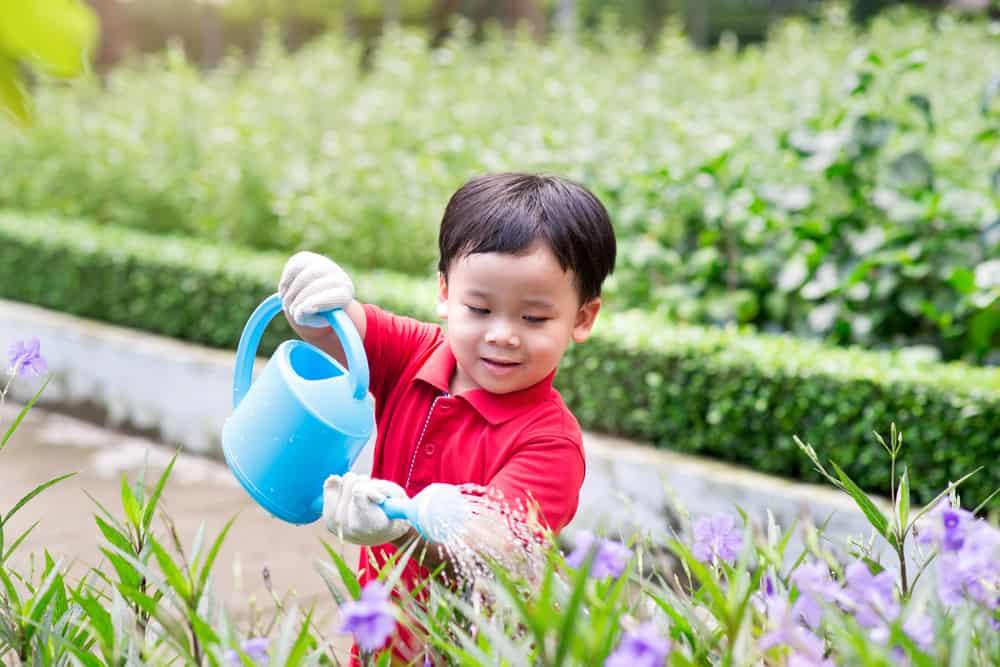 5 Manfaat Berkebun untuk Tumbuh Kembang Si Kecil