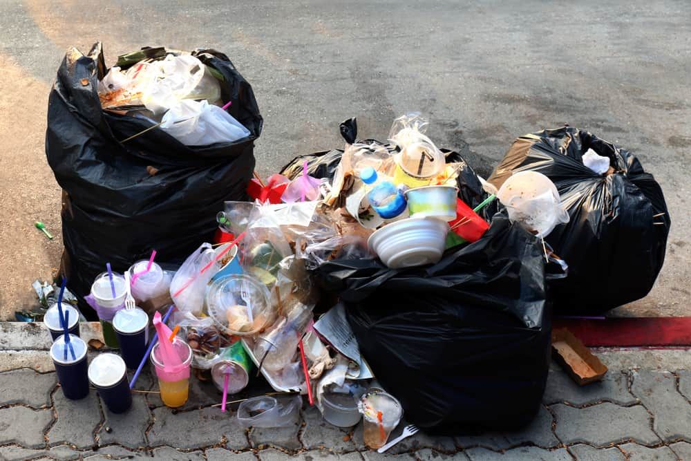 Jangan Buang Sampah Sembarangan Kalau Tidak Mau Kena Penyakit Ini!