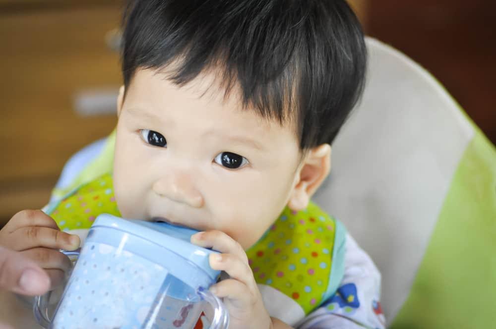 Kapan Si Kecil Siap Diajarkan Pakai Gelas Bayi?
