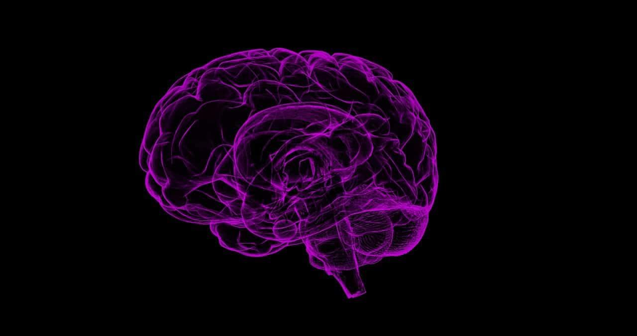 penyakit-encephalomalacia