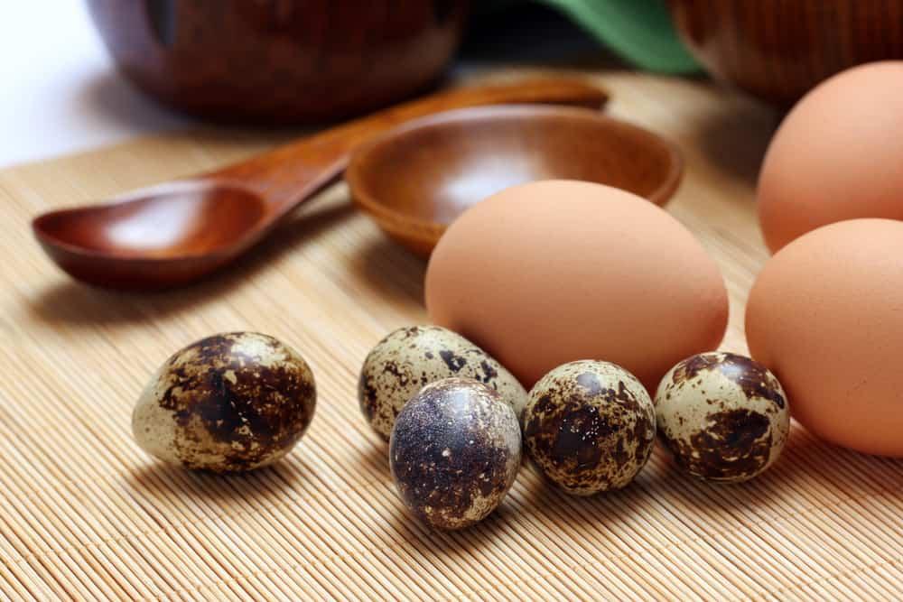 Telur Ayam atau Telur Puyuh: Mana yang Lebih Bergizi?