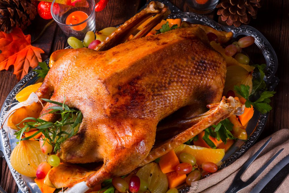 Belum Banyak Diketahui, Inilah Manfaat Daging Angsa dan Kandungan Gizinya