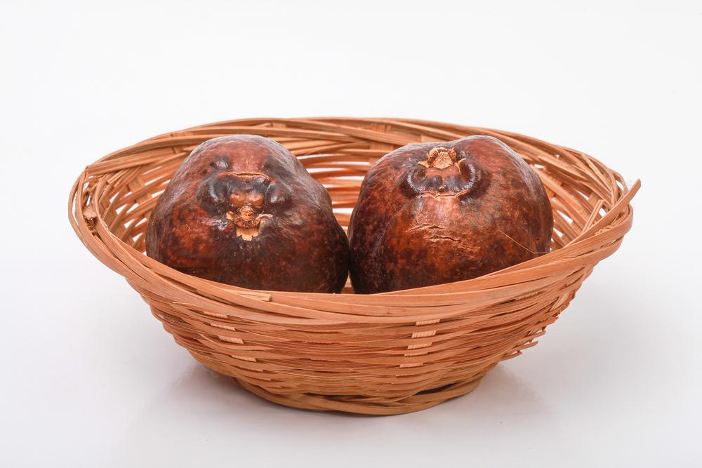 buah-zuriat-untuk-promil