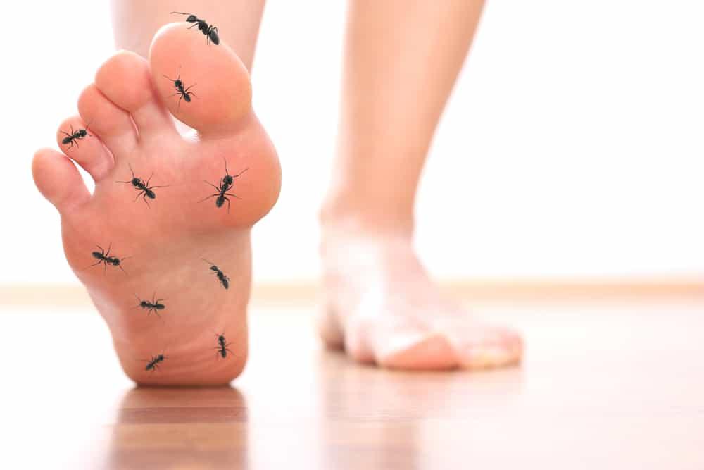 7 Penyebab Kaki Kesemutan yang Jarang Disadari