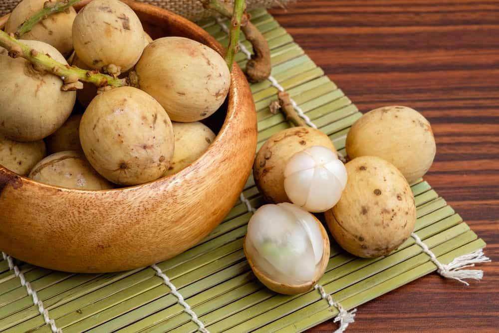 nutrisi-manfaat-buah-duku